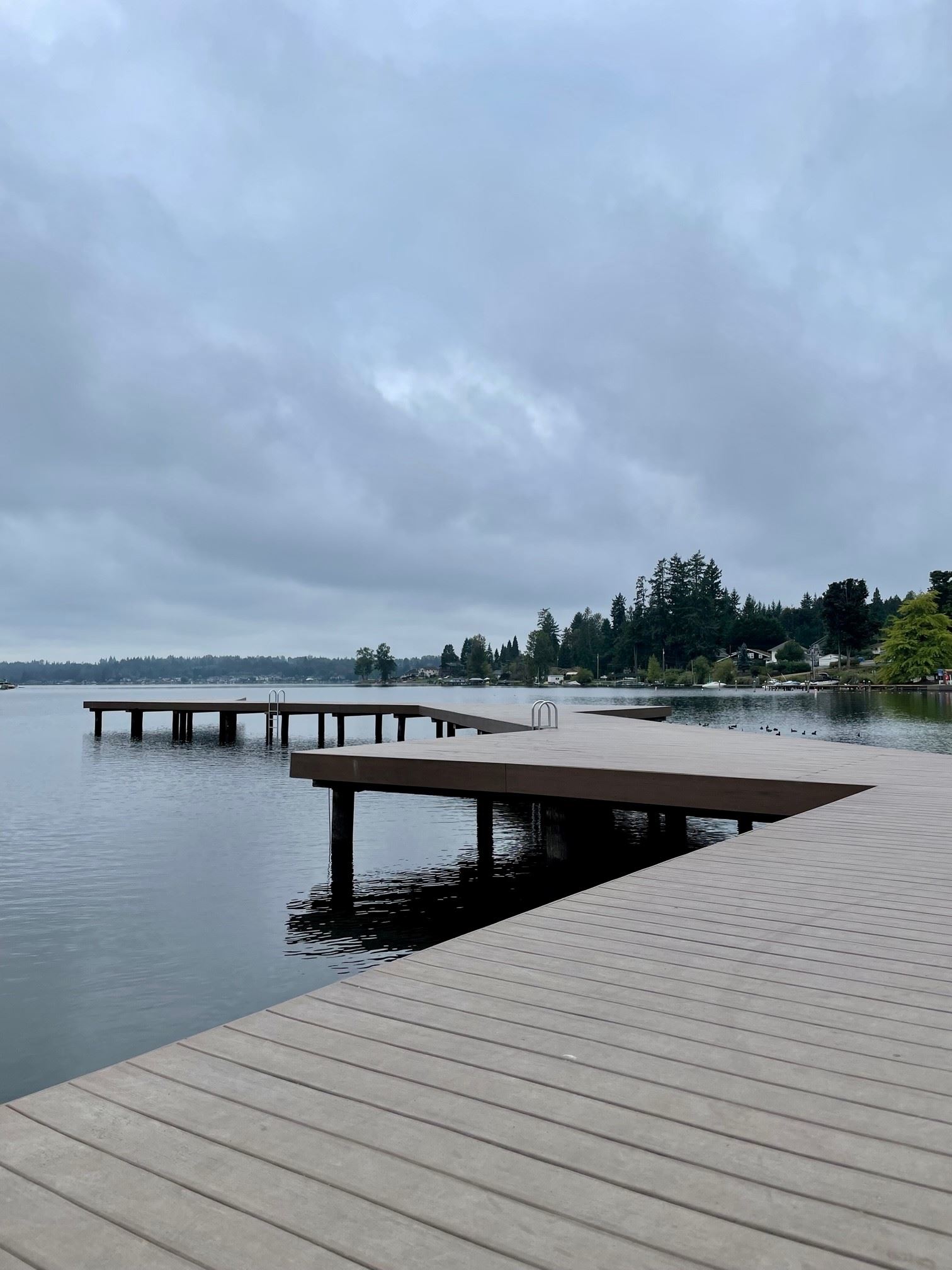 North Cove Park Dock_Annual Fish Window