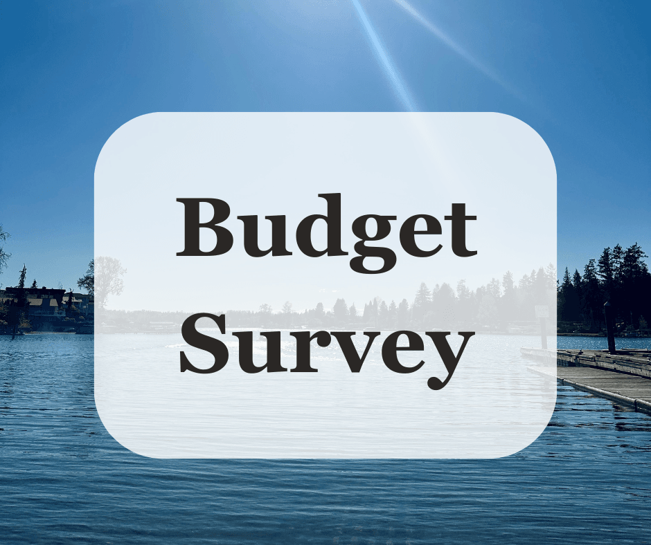 Budget Survey graphic