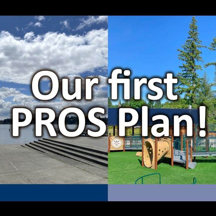 Our First PROS Plan June 2025