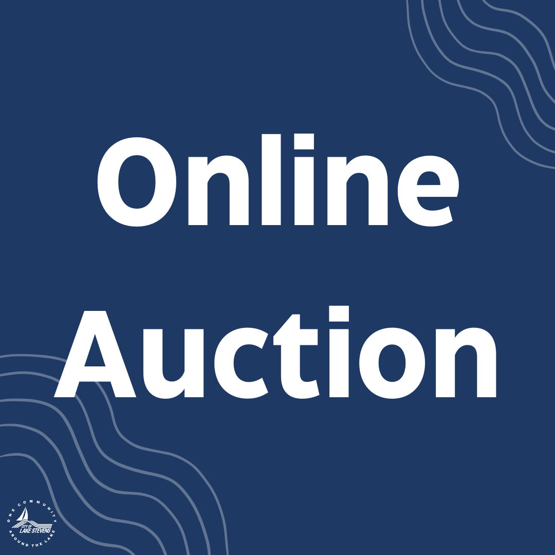 Online Auction 