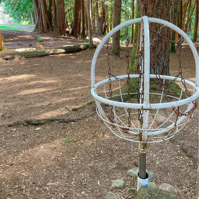 Catherine Creek Park frisbee