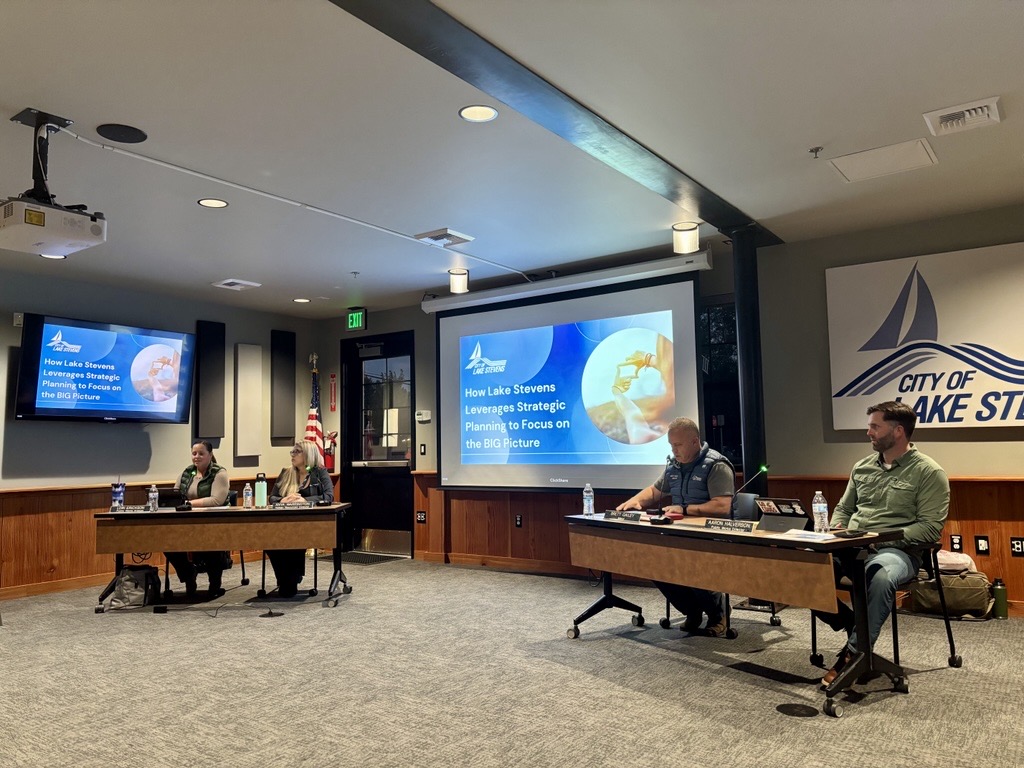 Town Hall group presentation