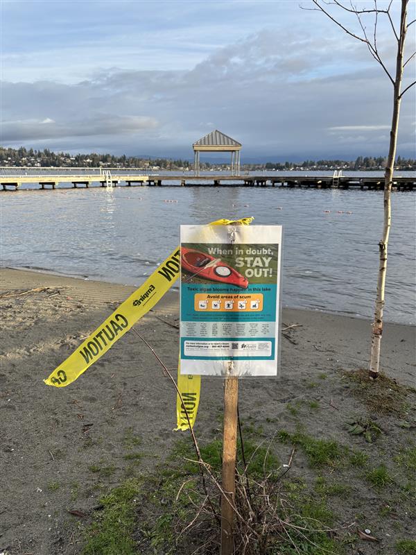 Algae Sign at Davies Beach