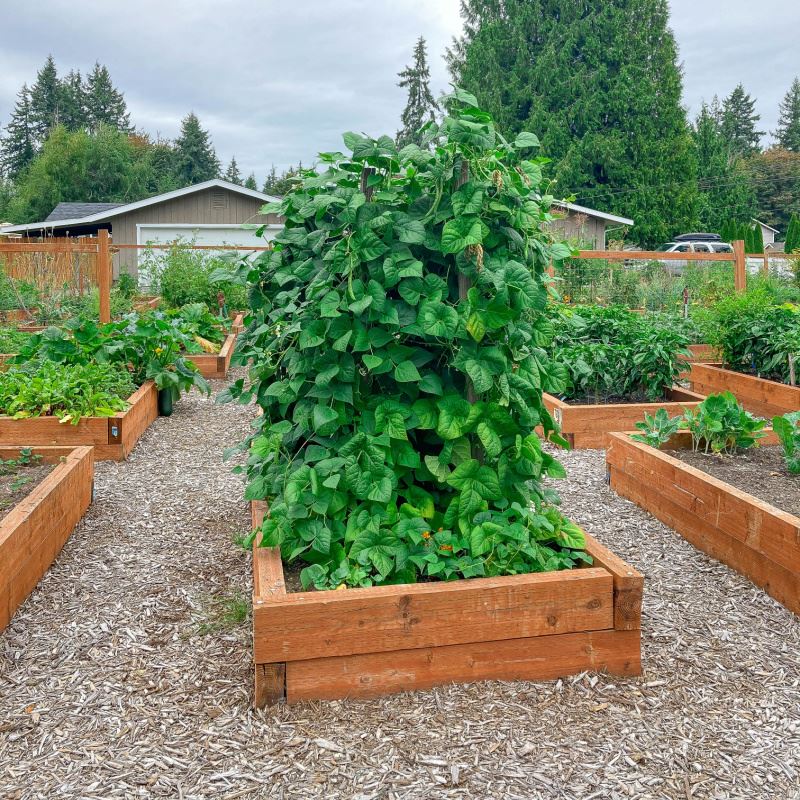 Eagle Ridge Community Garden Park-3